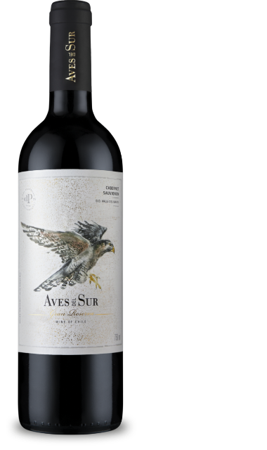 Aves del Sur