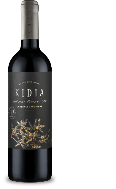 Kidia